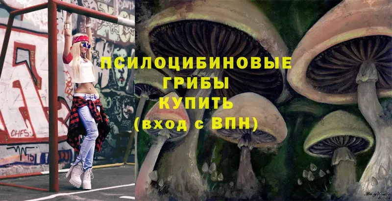 Псилоцибиновые грибы Magic Shrooms  Кингисепп 